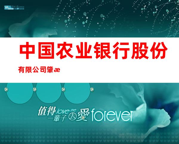 中国农业银行股份有限公司肇源滨江支行